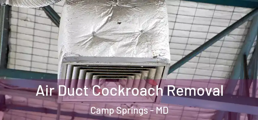  Air Duct Cockroach Removal Camp Springs - MD
