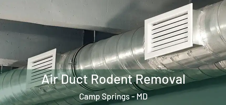  Air Duct Rodent Removal Camp Springs - MD