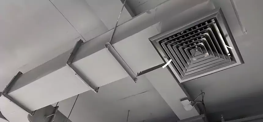 Restorative Allergy Relief Vent Cleaning – Coil, Blower & Housing Detail in Camp Springs