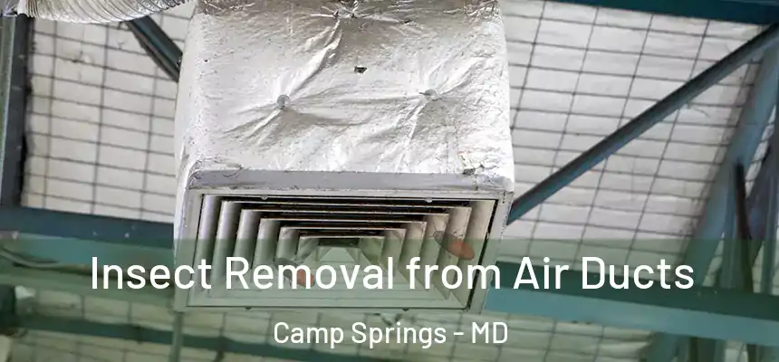 Insect Removal from Air Ducts Camp Springs - MD