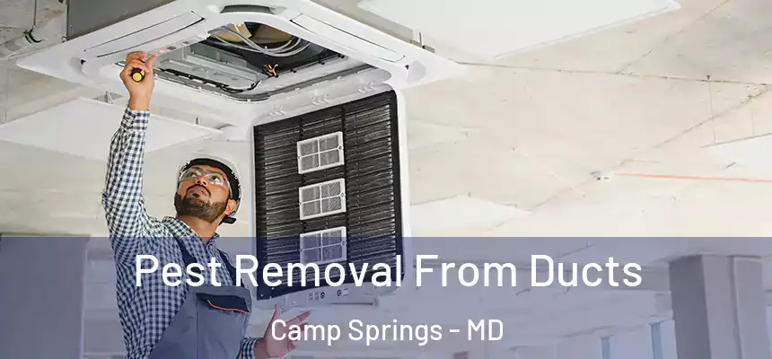  Pest Removal From Ducts Camp Springs - MD
