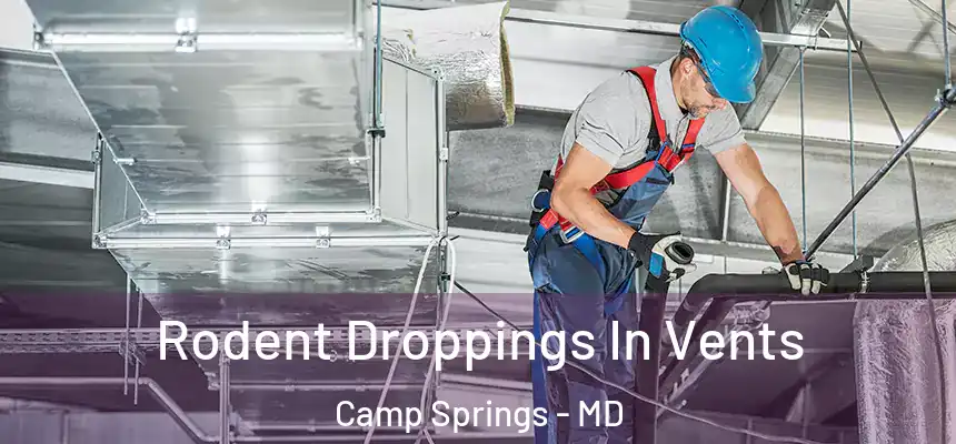 Rodent Droppings In Vents Camp Springs - MD