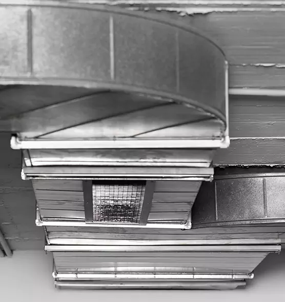 Professional Air Duct Pest Removal in Camp Springs, MD