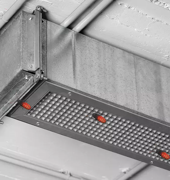 Affordable Insect Removal from Air Ducts in Camp Springs, MD