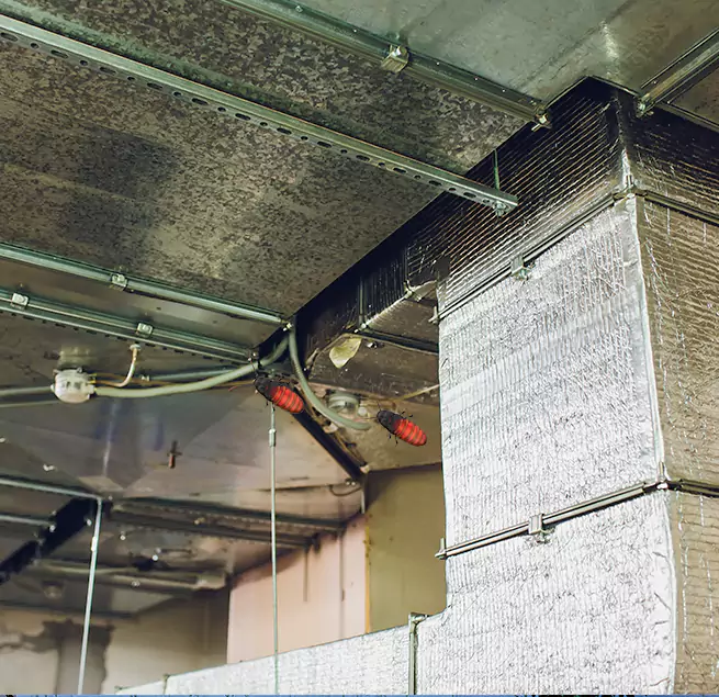 Why Homeowners & Businesses Trust Us in Camp Springs, MD?