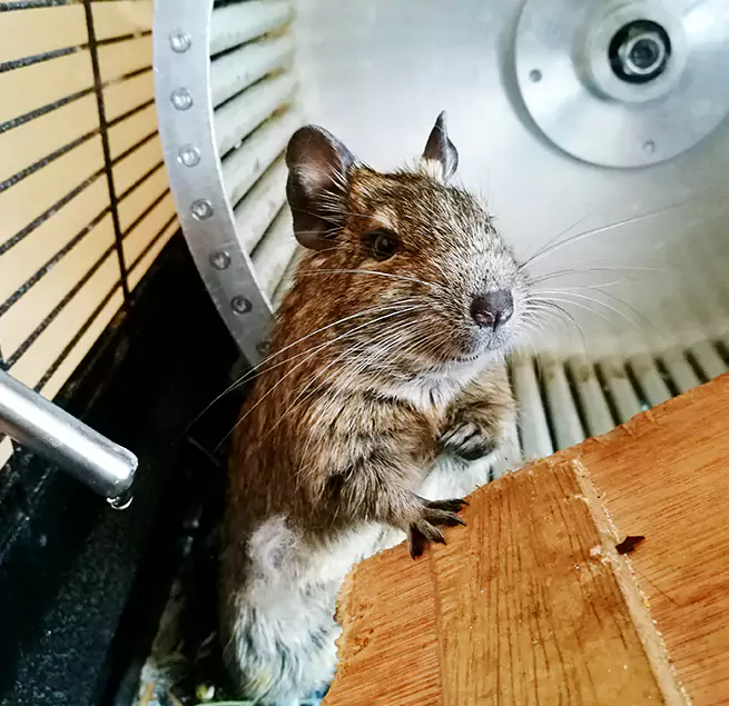 Why Homeowners & Businesses Trust Us Camp Springs, MD?